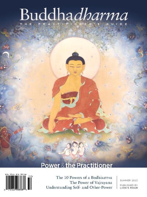 Title details for Buddhadharma: The Practitioner's Quarterly by Shambhala Sun Foundation - Available